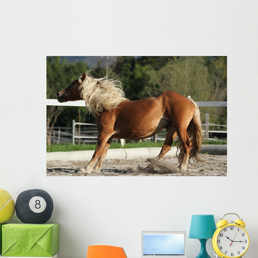 Dynamic Breaking Horse Wall Mural