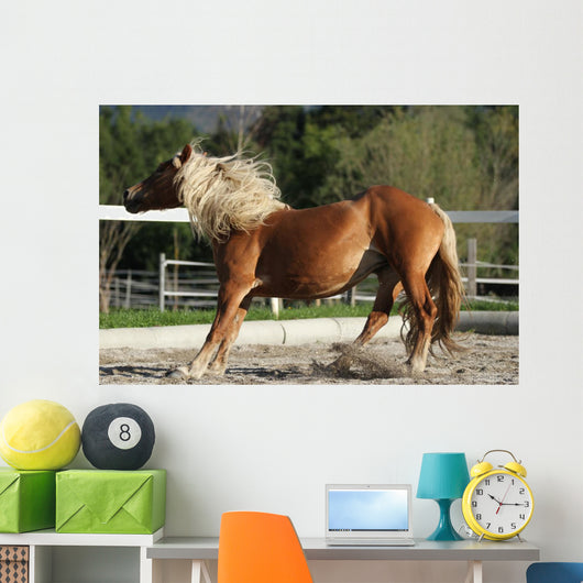 Dynamic Breaking Horse Wall Mural