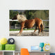 Dynamic Breaking Horse Wall Mural