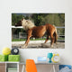 Dynamic Breaking Horse Wall Mural