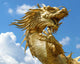 Dragon Wall Decal