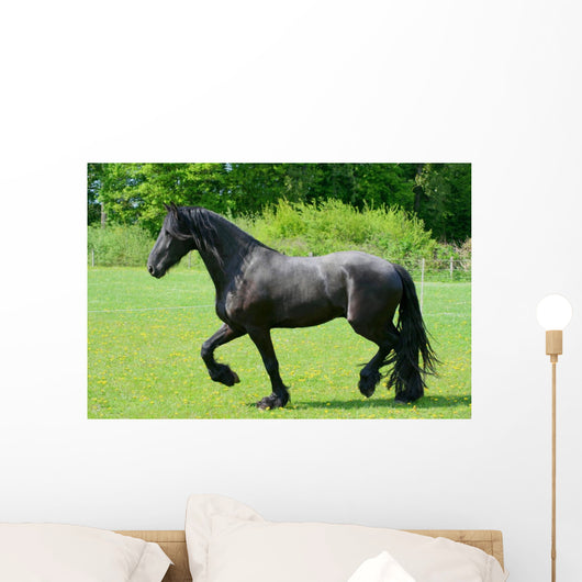 Frisian Wall Decal