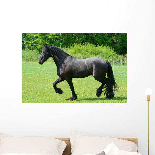 Frisian Wall Decal