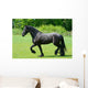 Frisian Wall Decal