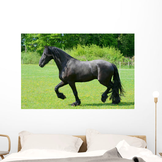 Frisian Wall Decal