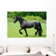 Frisian Wall Decal
