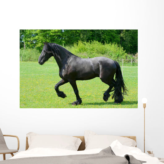 Frisian Wall Decal