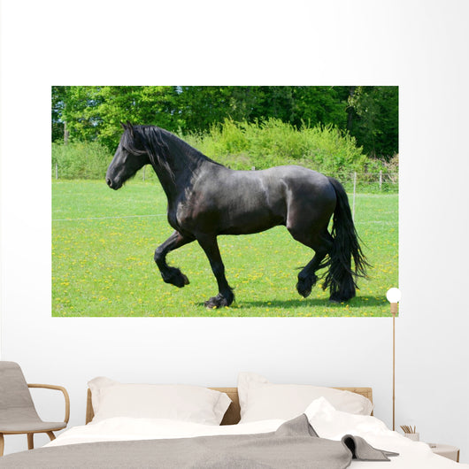 Frisian Wall Decal