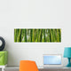 Sunlght peaks through dense bamboo Wall Mural