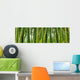 Sunlght peaks through dense bamboo Wall Mural