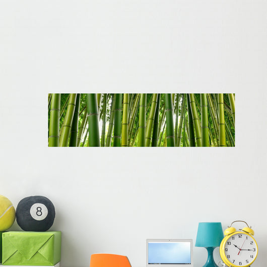 Sunlght peaks through dense bamboo Wall Mural
