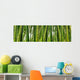 Sunlght peaks through dense bamboo Wall Mural