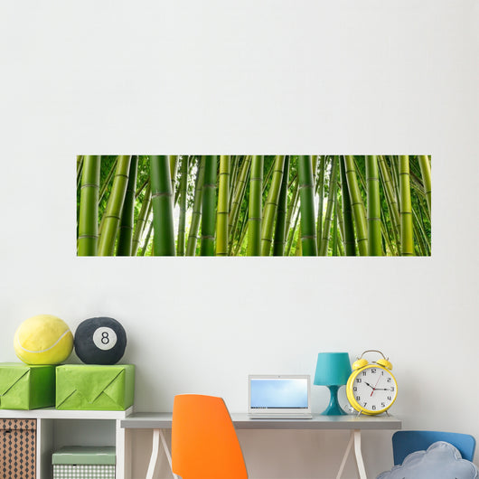 Sunlght peaks through dense bamboo Wall Mural