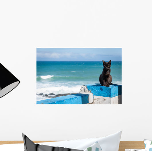 Portuguese Black cat Wall Mural