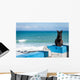Portuguese Black cat Wall Mural