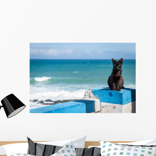 Portuguese Black cat Wall Mural