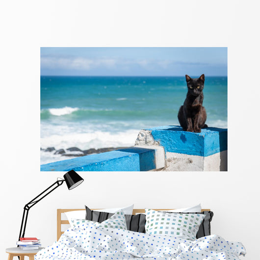 Portuguese Black cat Wall Mural