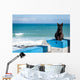Portuguese Black cat Wall Mural