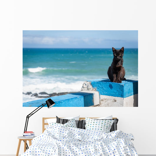 Portuguese Black cat Wall Mural