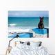 Portuguese Black cat Wall Mural