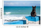 Portuguese Black cat Wall Mural