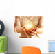 Hands with sparkler light isolated on white Wall Mural