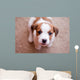 puppy Jack Russell Terrier Wall Mural
