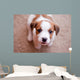 puppy Jack Russell Terrier Wall Mural