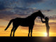 Silhouette Girl Giving Kiss Wall Decal