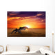 Jumping dolphins Wall Mural