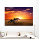 Jumping dolphins Wall Mural