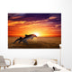 Jumping dolphins Wall Mural