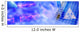 Biology Wall Decal