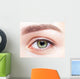 female eye zone and brows with day makeup Wall Mural