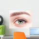 female eye zone and brows with day makeup Wall Mural