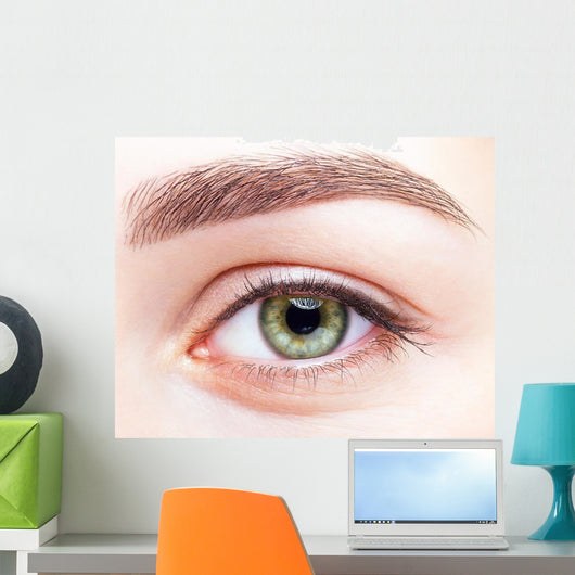 female eye zone and brows with day makeup Wall Mural