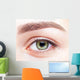 female eye zone and brows with day makeup Wall Mural