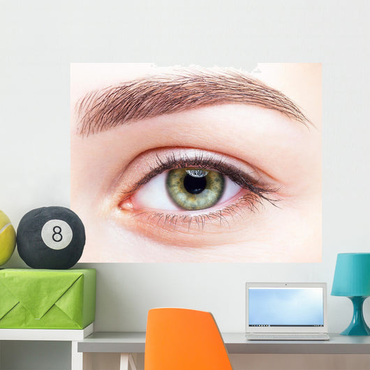 female eye zone and brows with day makeup Wall Mural