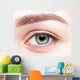female eye zone and brows with day makeup Wall Mural