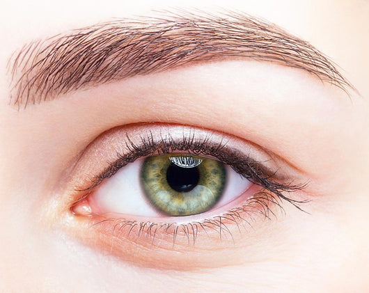 Female Eye Zone And Brows With Day Makeup Wall Decal 2