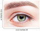 female eye zone and brows with day makeup Wall Mural