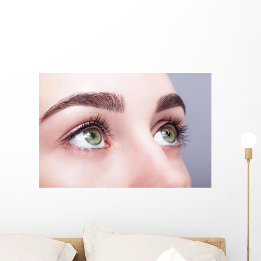 female eye zone and brows with day makeup Wall Mural