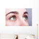 female eye zone and brows with day makeup Wall Mural