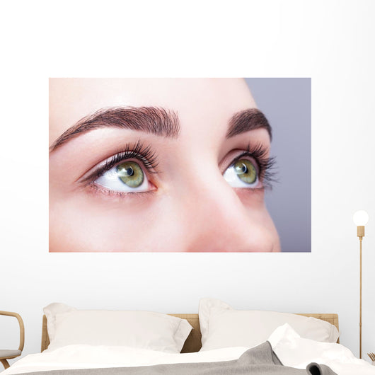 female eye zone and brows with day makeup Wall Mural