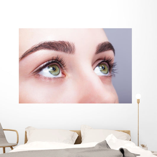 female eye zone and brows with day makeup Wall Mural