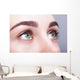 female eye zone and brows with day makeup Wall Mural