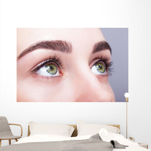 female eye zone and brows with day makeup Wall Mural