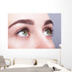female eye zone and brows with day makeup Wall Mural