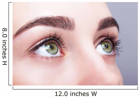 female eye zone and brows with day makeup Wall Mural