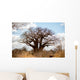 Baobab Tree Wall Mural